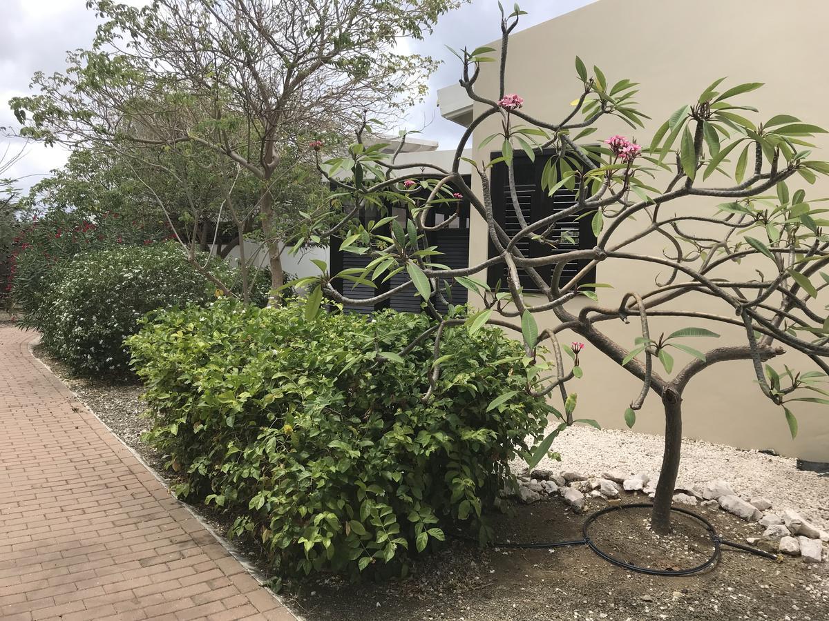 Blue Bay Resort Garden Dorp Dorp Sint Michiel Exterior foto